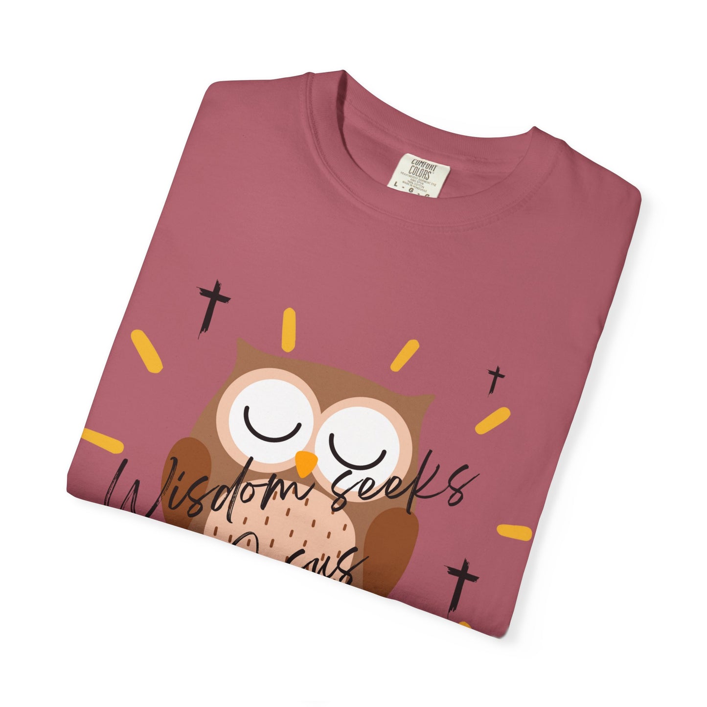 Adult Tee - Wisdom seeks Jesus