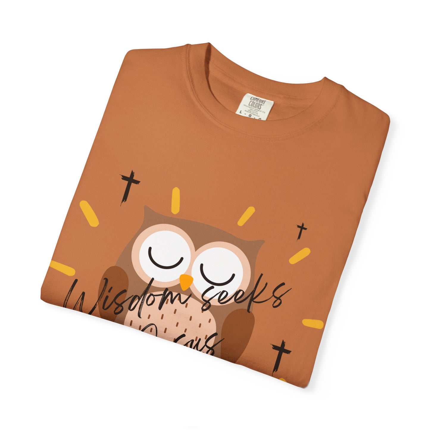 Adult Tee - Wisdom seeks Jesus