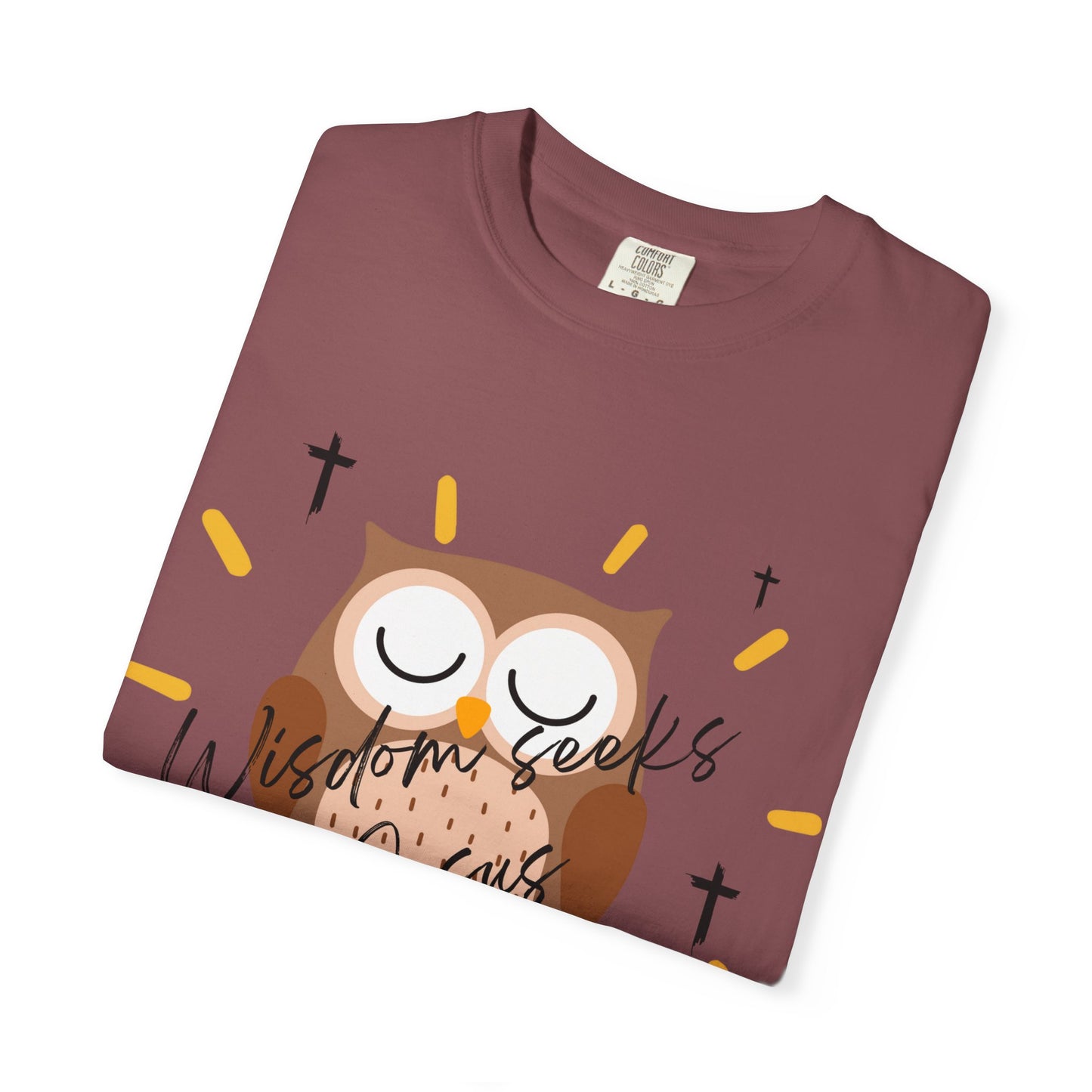 Adult Tee - Wisdom seeks Jesus