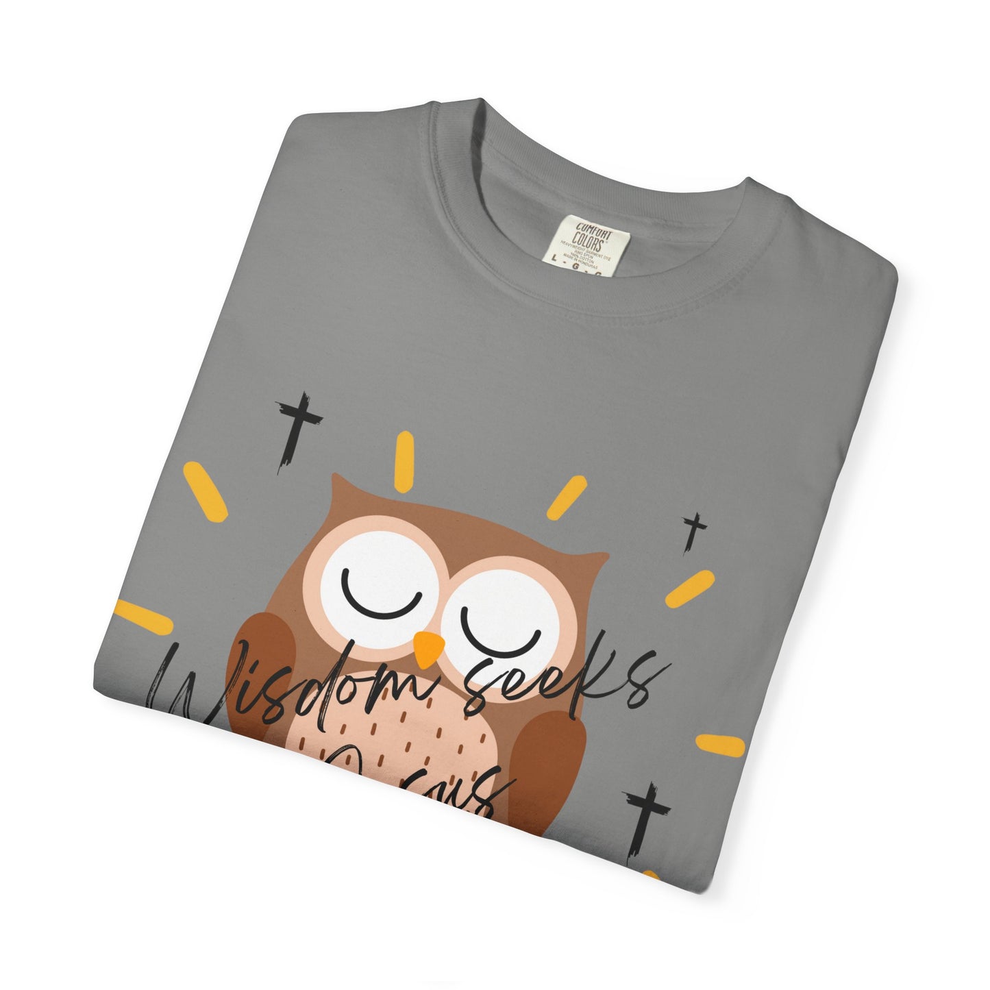 Adult Tee - Wisdom seeks Jesus